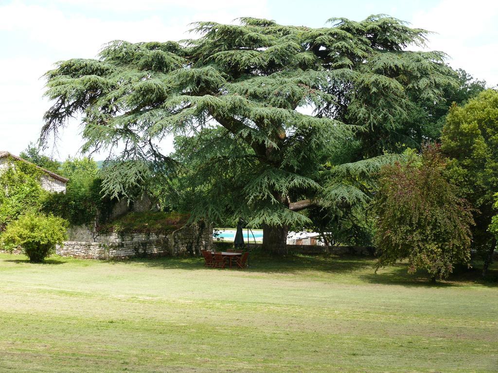 Domaine De Lamassas Bed & Breakfast Hautefage-la-Tour Exterior photo
